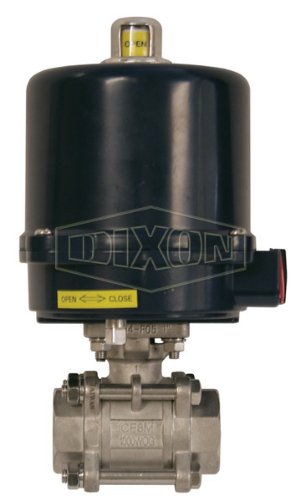 Dixon BV2IG-07511-PL. 316SS Elektromos Kapcsolása FNPT golyóscsap Hő, 24 VDC, N4, 3/4