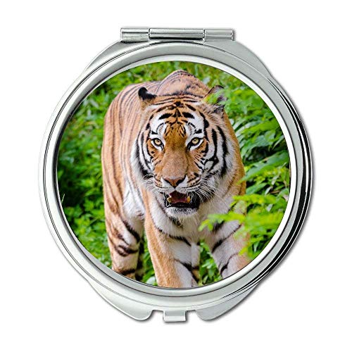 Tükör,Kompakt Tükör,állat, állat fotózás nagy macska,sminktükör,hordozható tükör