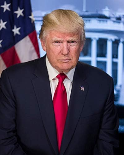 Donald Trump Fotó - a Történelmi Mű a - amerikai Elnök Portré - (11 x 14) - Gloss